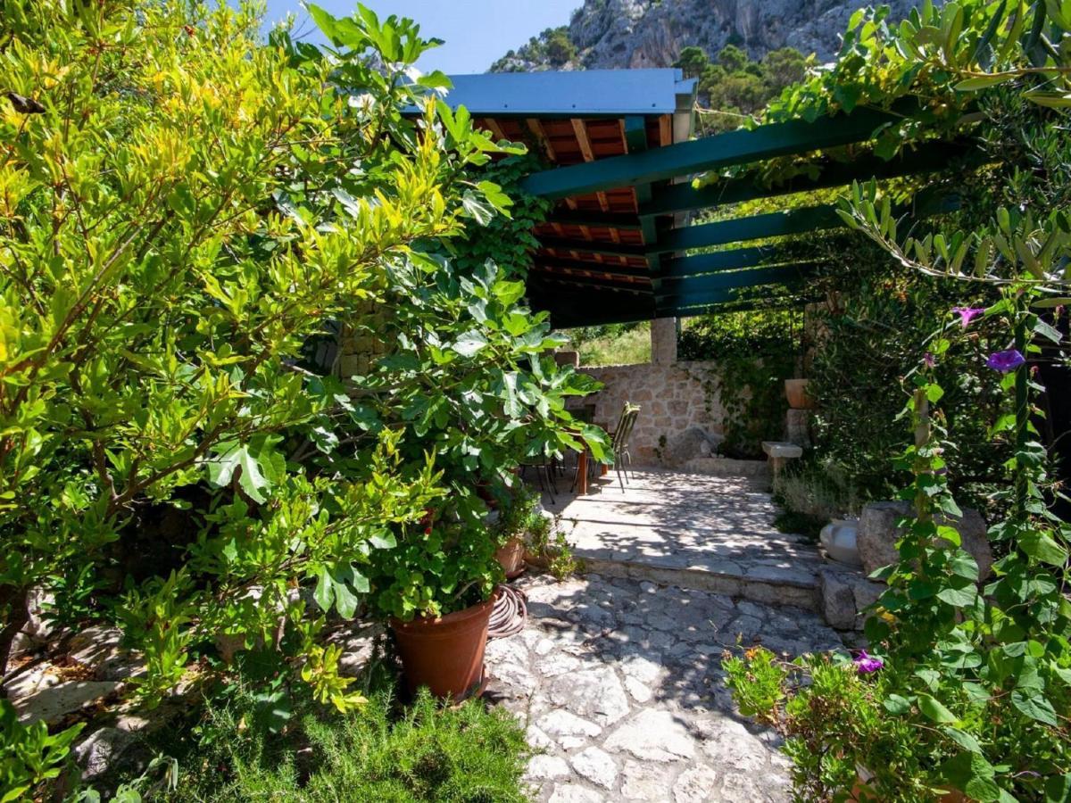 Luxurious Holiday Home In Makarska With Jacuzzi Eksteriør billede