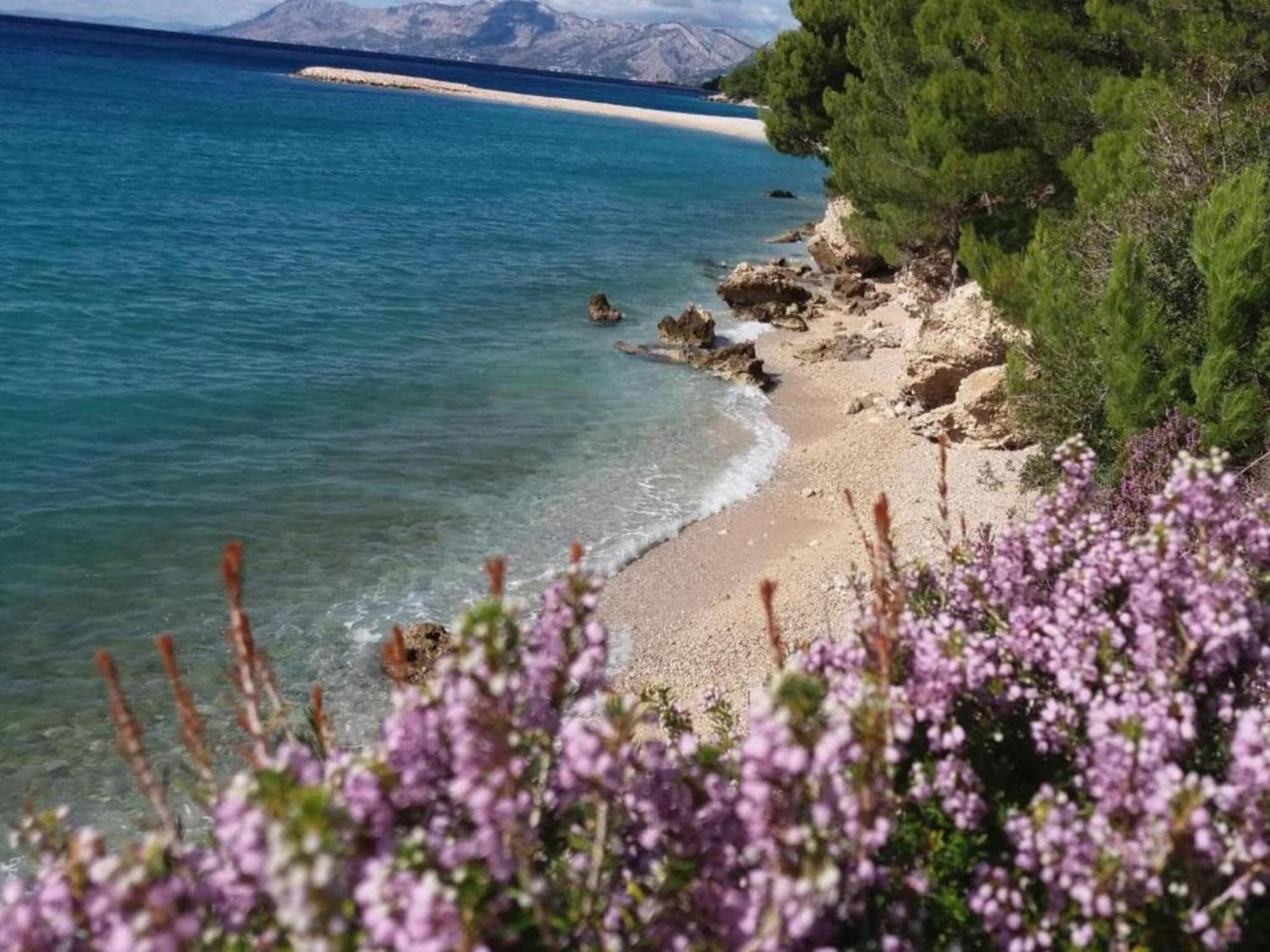Luxurious Holiday Home In Makarska With Jacuzzi Eksteriør billede